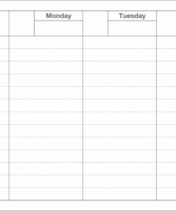 dayfree-weekly-schedule-planner-neo-pink