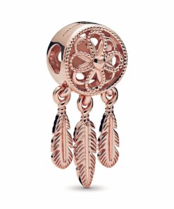 Spiritual Dreamcatcher