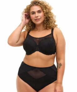 ZiLLipe Brief