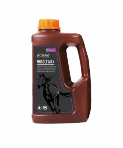 Foran Equine Muscle Max
