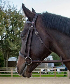 Whitaker Ready To Ride Snaffle Bridle Havana