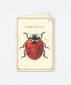 thank-you-lady-card