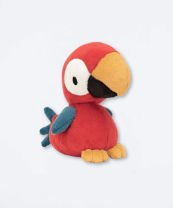 bodacious-beak-parrot-1