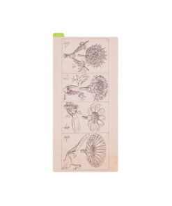 hobonichi-techo-pencil-board