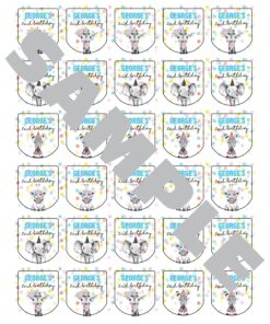 Birthday Party Favor Labels Set of 30
