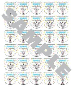 Birthday Party Sanitizer Labels Set of 30