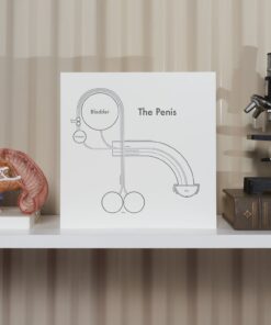 the-penis-print