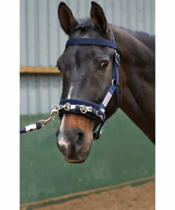 Whitaker Lunge Cavesson Navy Cob