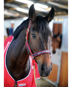 Whitaker Padded Fleece Headcollar Red/Navy